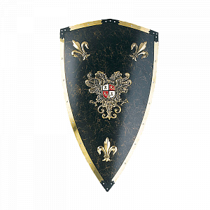 Щит рыцарский Карла V Великого