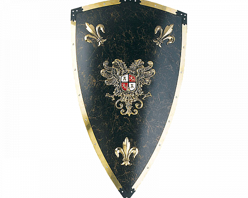 Щит рыцарский Карла V Великого