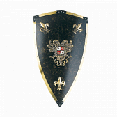 Щит рыцарский Карла V Великого